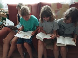 https://krlib.info/images/papka2024/news/17.07/1_1.jpg